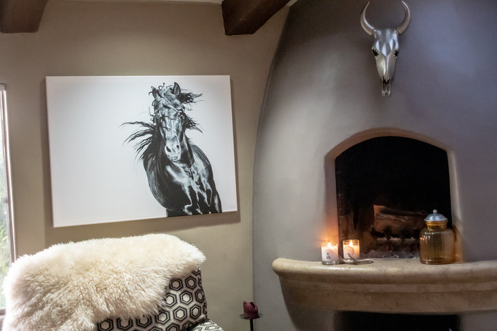 Bravery- Andalusian  Horse