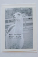 Well behaved women rarely make history