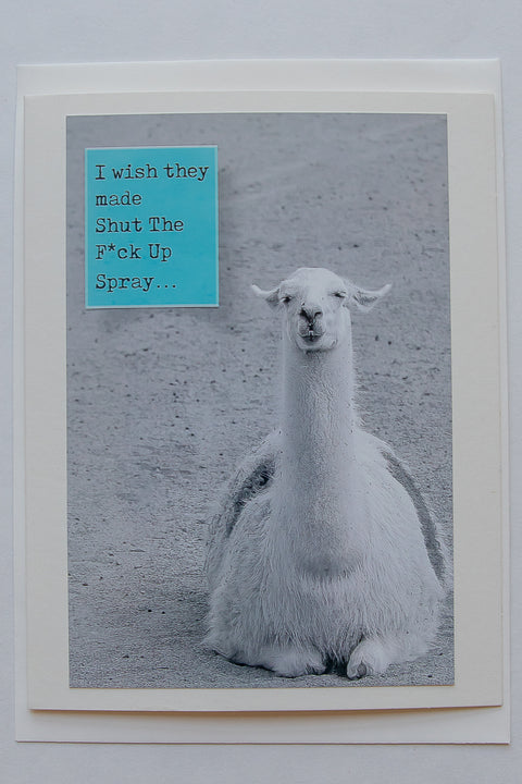 Wish they sold Shut the F*ck up spray
