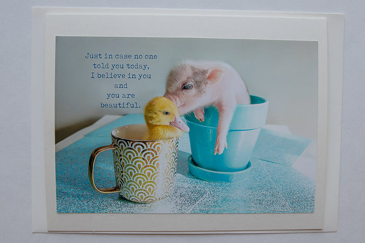 Just in case no one told you today, you are beautiful and I believe in you.