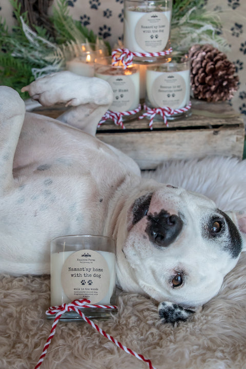 Fur Mama   12 ounce candle