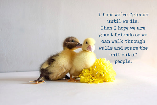 I hope we stay ghost friends and scare the shit out of people