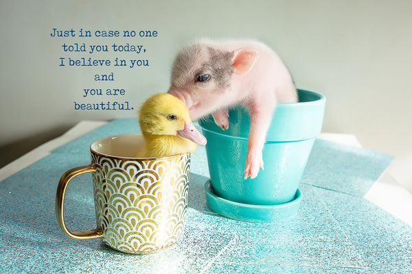 Just in case no one told you today, you are beautiful and I believe in you.