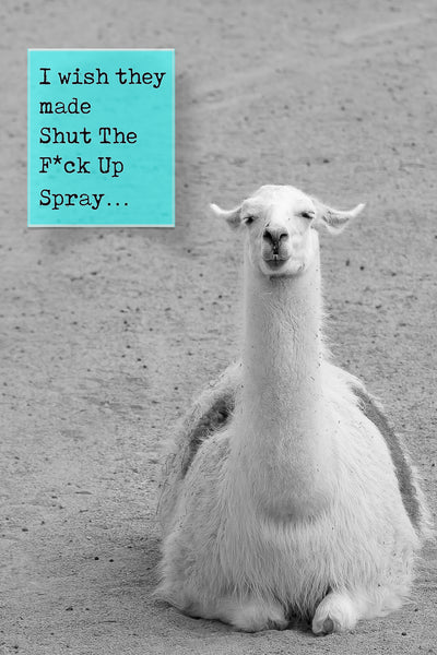 Wish they sold Shut the F*ck up spray