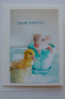 Thank you - ( pig and duck)