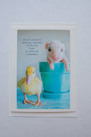 You're allow 30 emotional minutes in a day ... then ya gotta be a gangster (pig and duck)