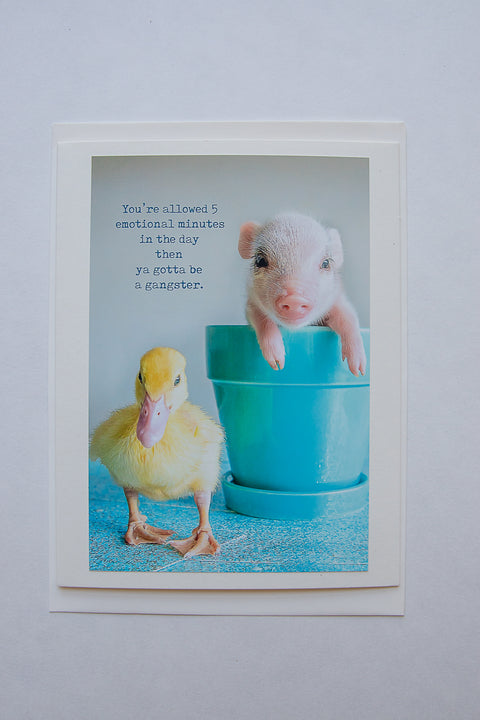 You're allow 30 emotional minutes in a day ... then ya gotta be a gangster (pig and duck)