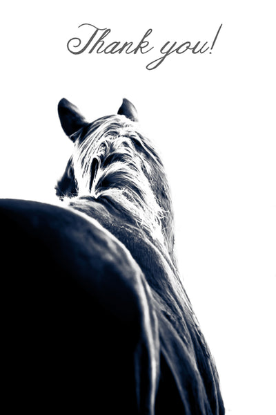 Thank you  (horse)