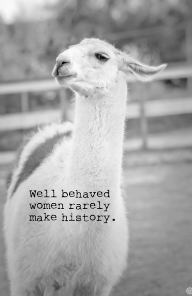Well behaved women rarely make history