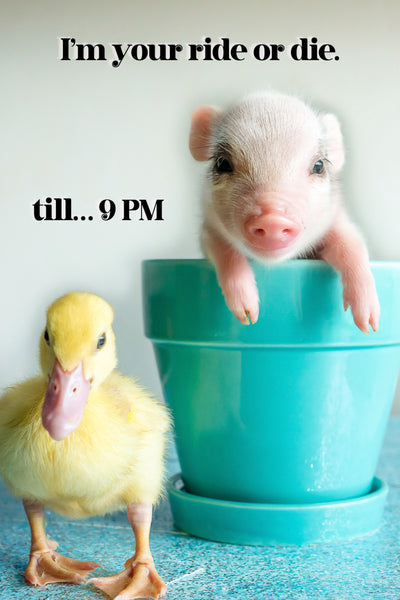 I'm Your Ride or Die.  Till  9PM  Greeting Card