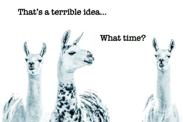 That's a terrible Idea.  What time?   Greeting Card