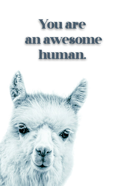 You're an Awesome Human card