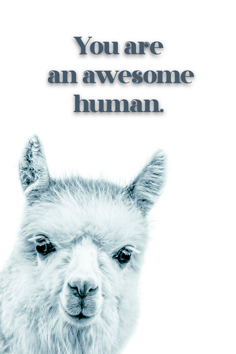 You're an Awesome Human card