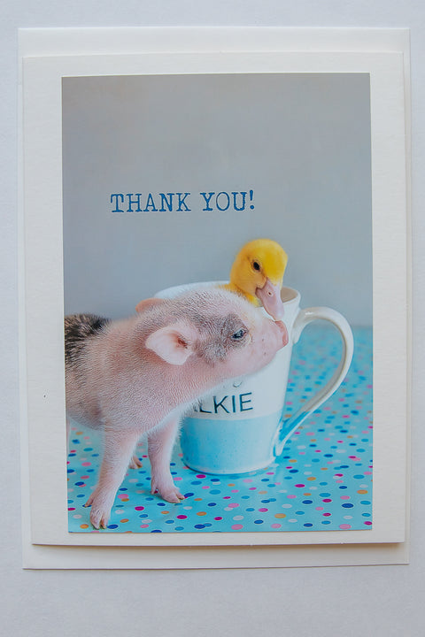 THANK YOU! ( pig kissing duck)