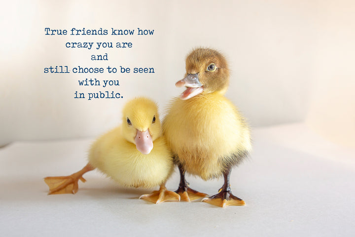 True friends know how crazy you are and still choose to be seen in public with you.