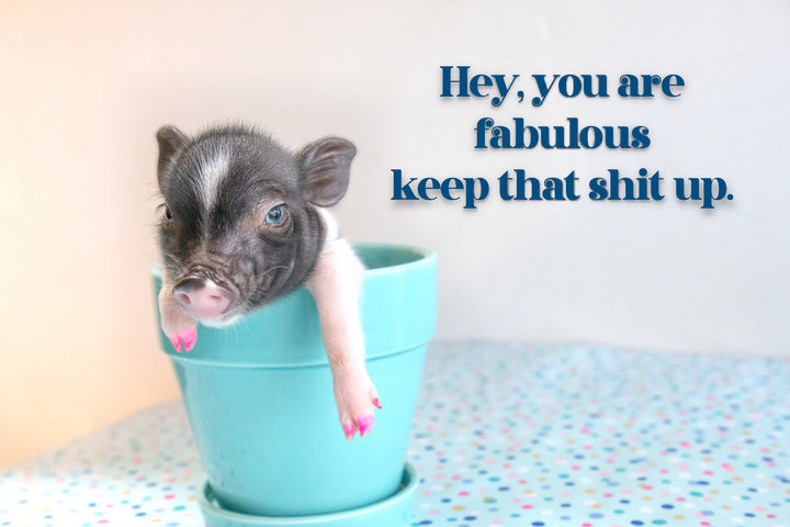 You're fabulous. Keep that shit up.  Blank greeting card.